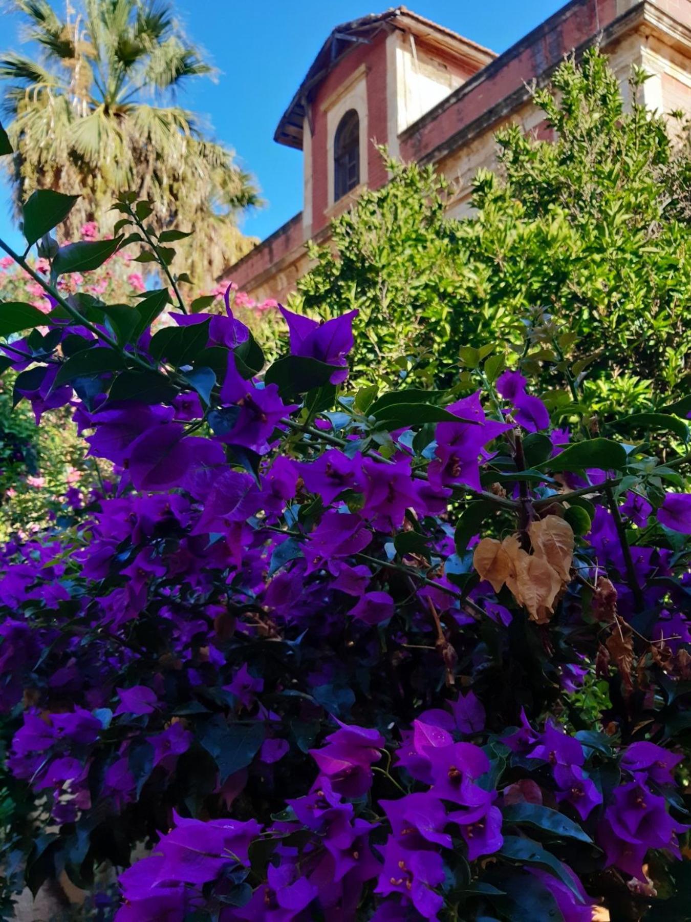 Avgi Garden House Chania With Private Entrance Экстерьер фото